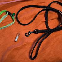 Set guinzaglio, ciondolo identificativo gatto XS