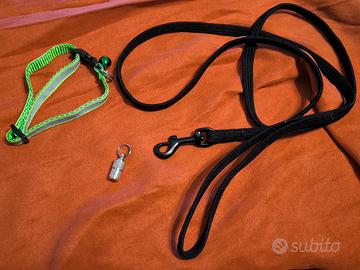 Set guinzaglio, ciondolo identificativo gatto XS