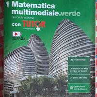 Matematica multimediale verde