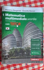 Matematica multimediale verde