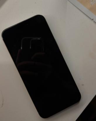 Iphone 15 Pro Max (retro da riparare)