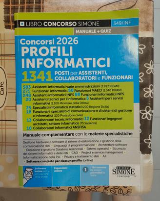 concorsi profili informatici 