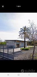 Capannone industriale a Saviano