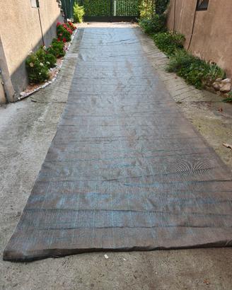 Telo pacciamante 