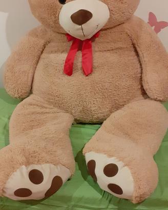 Peluche orso gigante 