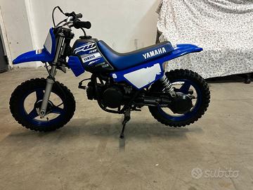 Pw 50