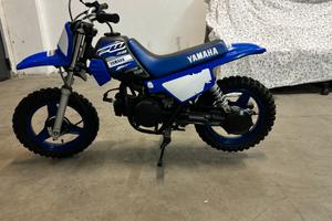 Pw 50