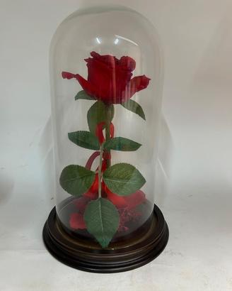 rosa in campana di vetro 