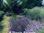 Immagine 22