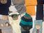 Immagine 5