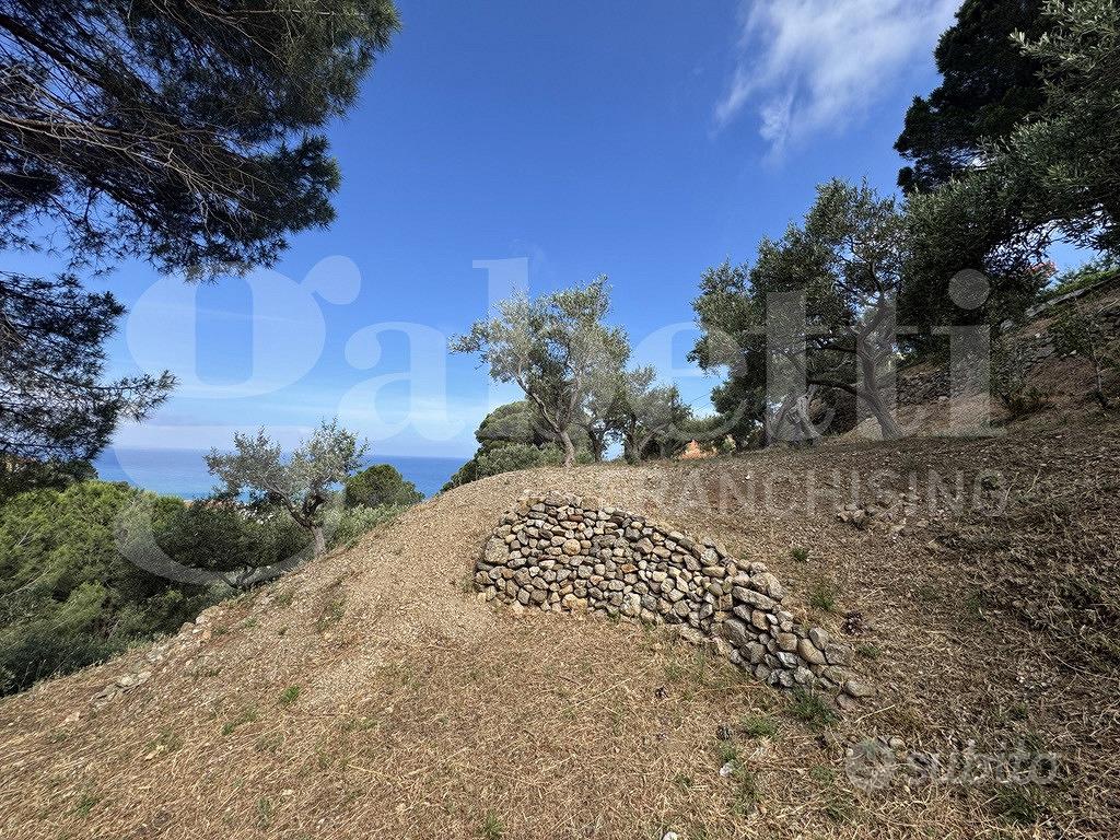 Terreno Agricolo Messina [Cod. rif 3331511VCG] - Vista 3