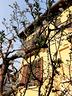 villa-di-220-m²-con-4-locali-a-milano