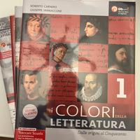 Libro i colori della letteratura
