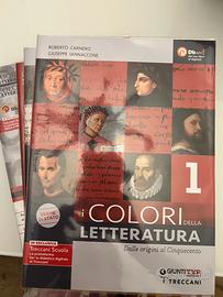 Libro i colori della letteratura