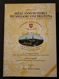 Mille anni di storia dei migliori vini dell etna