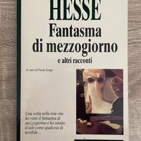 Libro IL FANTASMA DI MEZZOGIORNO e altri racconti