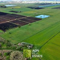 Terreno agricolo di 2 HA con stalla