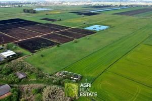 Terreno agricolo di 2 HA con stalla