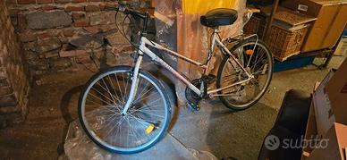 Bicicletta Mtb