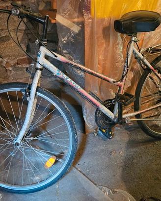 Bicicletta Mtb