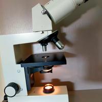 Microscopio Eduval 4  vintage  