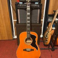 Eko Guitars Ranger VI VR EQ Natural