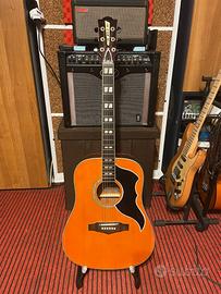 Eko Guitars Ranger VI VR EQ Natural