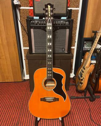 Eko Guitars Ranger VI VR EQ Natural