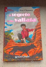 Il segreto della vallata - Nan Chauncy