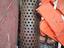 Immagine 4