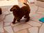 Immagine 6