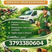 Giardinaggio è potatura piante