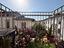 Immagine 11