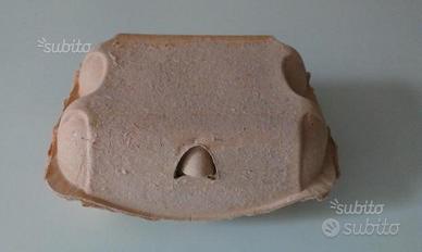 Contenitori per uova