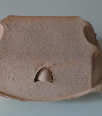 Contenitori per uova