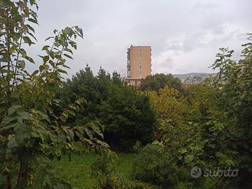 Muratore specializzato con 30 anni di esperienza