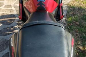 CBR 600 RR 2004