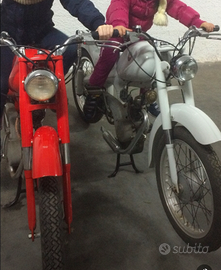 Motom cc.48 iscritto A.S.I. leggi testo