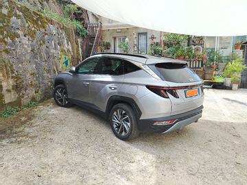 Hyundai Mildred hybrid diesel