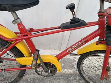 bicicletta REGINA, tipo Saltafoss 