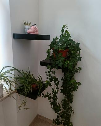 Mensole Ikea
