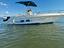 Immagine 8
