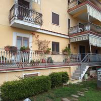 Appartamento rialzato con girardino