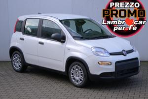 FIAT Panda 1.0 Hybrid 70cv KM Zero
