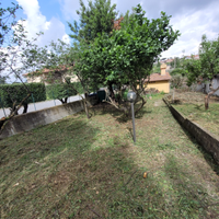 Giardiniere attrezzato per pulizia 339.2406138