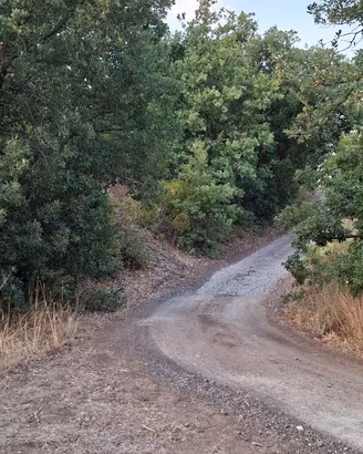 Terreno zona Mineo (CT)