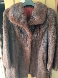 Pelliccia vera di castorino spitz