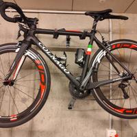 bici corsa colnago carbonio