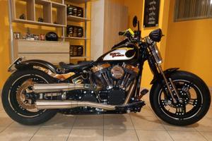 Harley Springer Special Twin Cam 103 - anno: 2013