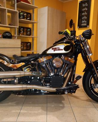 Harley Springer Special Twin Cam 103 - anno: 2013
